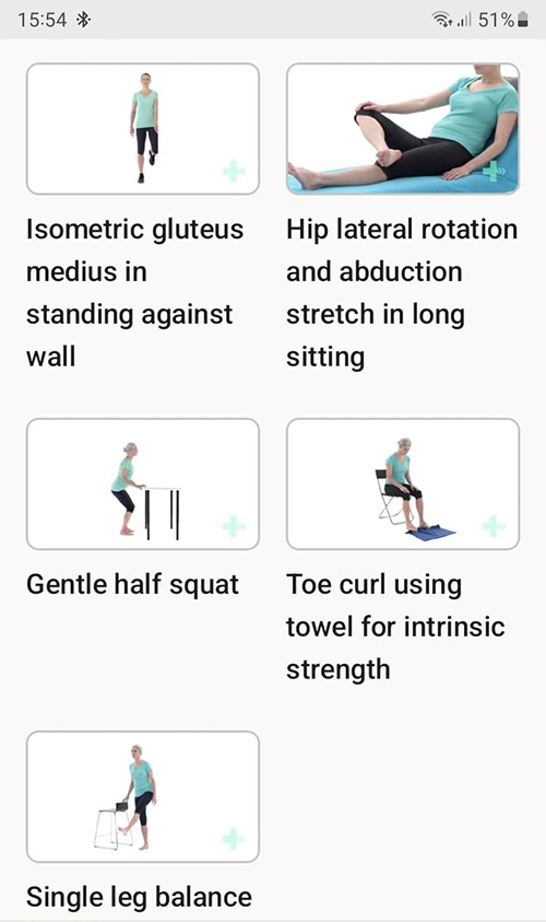 Online exercise program Hoffitis