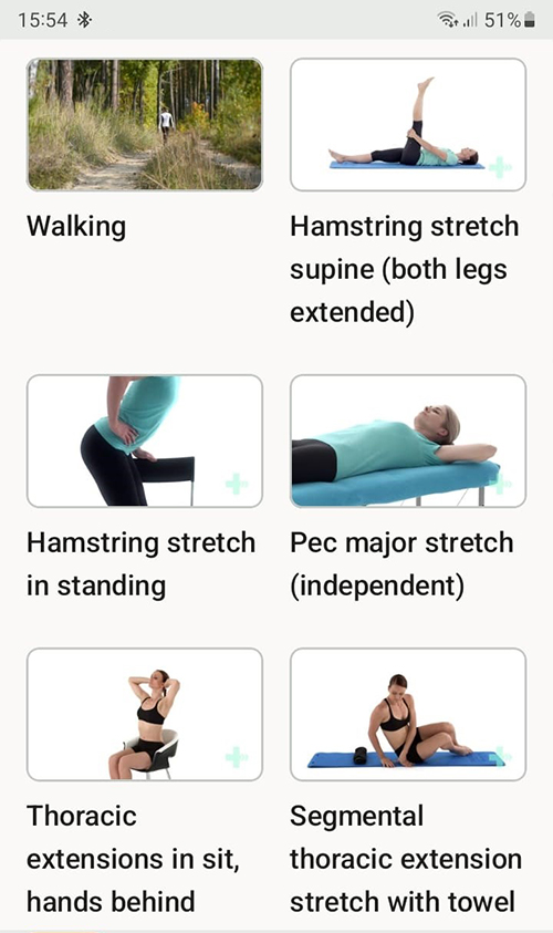 Online exercise program Scheuermann's disease