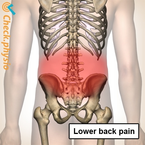 back low back pain spine spinal column skeleton